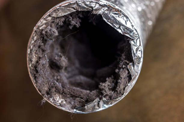 Best Air Duct Cleaning Near Me  in Gretna, NE